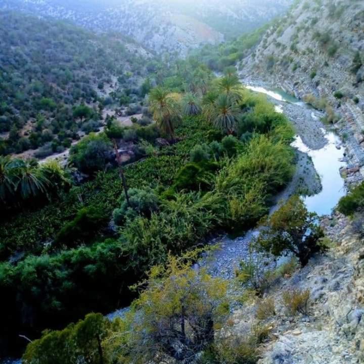 Апартаменты Tamrisurfcamp Экстерьер фото